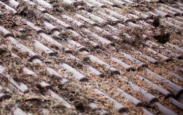 Gelli roof cleaning companies