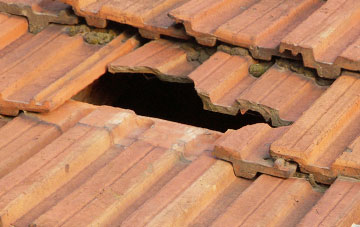 roof repair Gelli